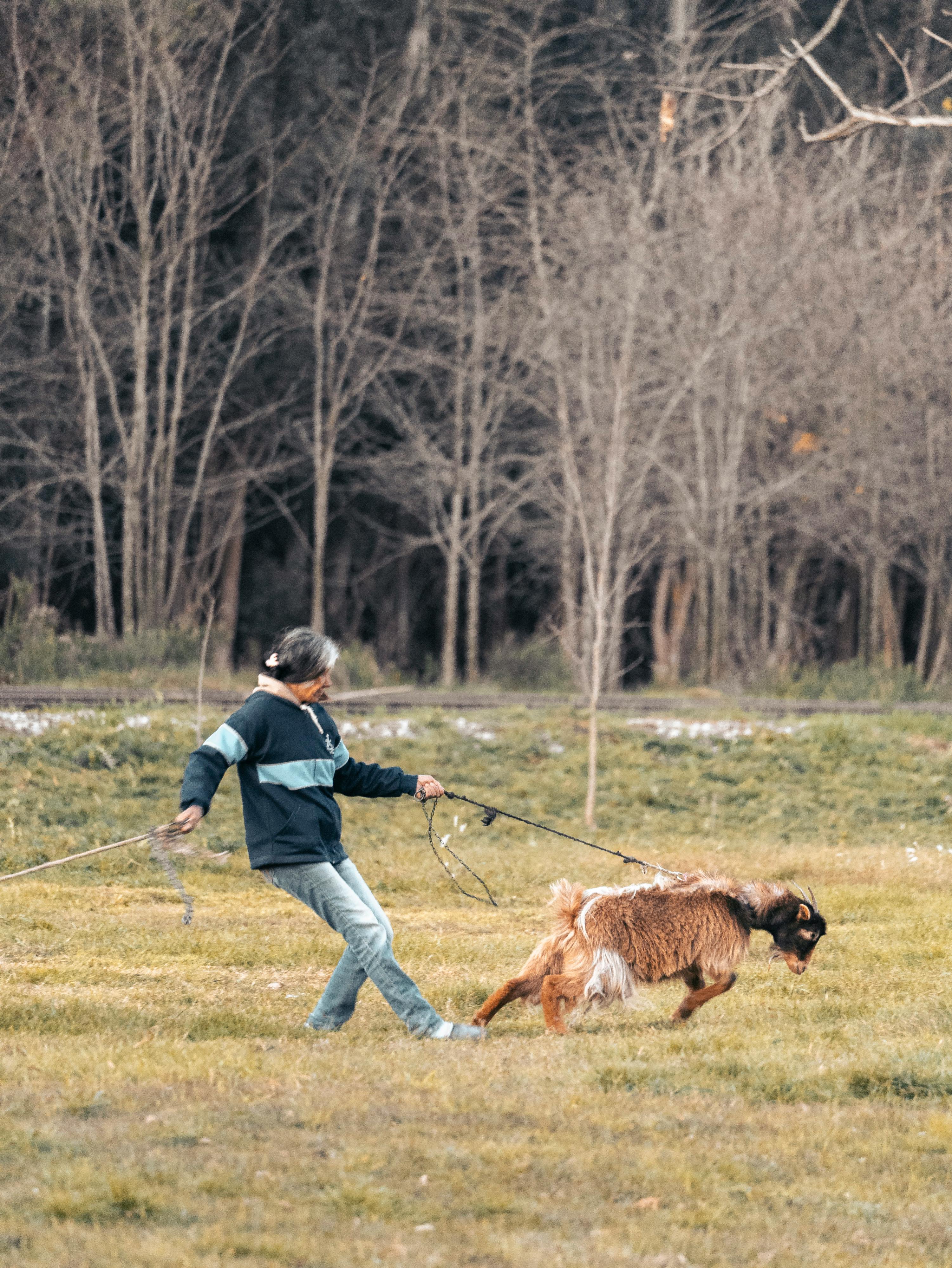 "농심 고객센터 후기: 불량 신고부터 협찬까지 원스톱 가이드!"