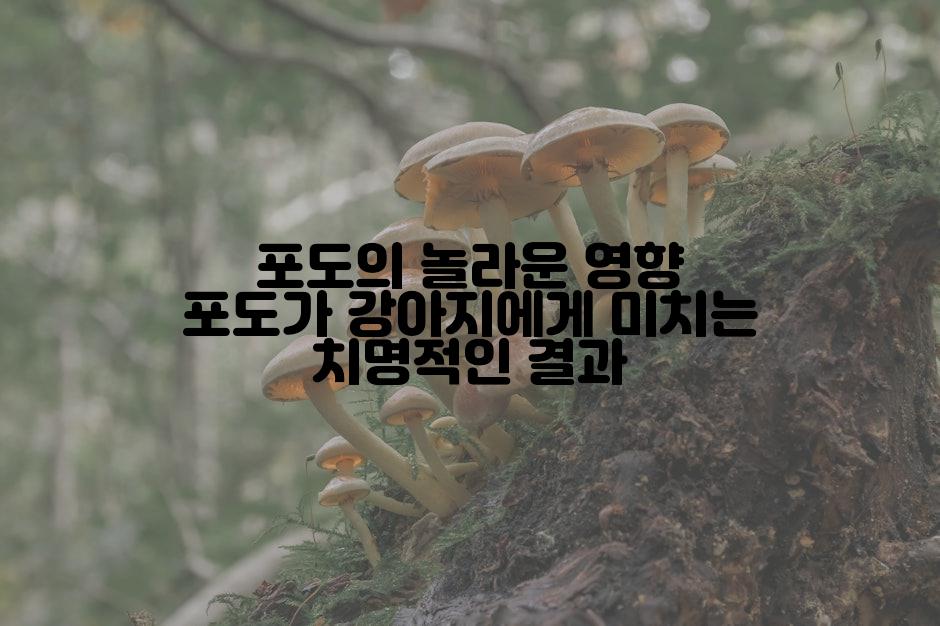 포도의 놀라운 영향 포도가 강아지에게 미치는 치명적인 결과