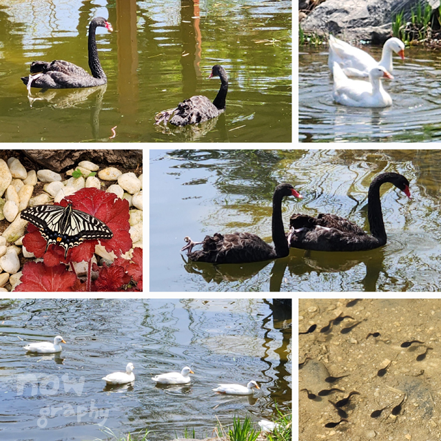 평택시-농업생태원