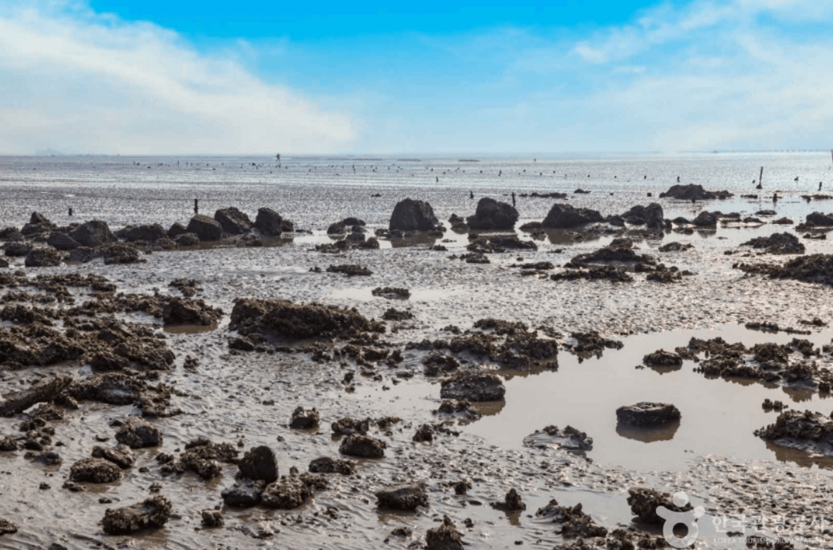 한들해수욕장 (옹진군)
