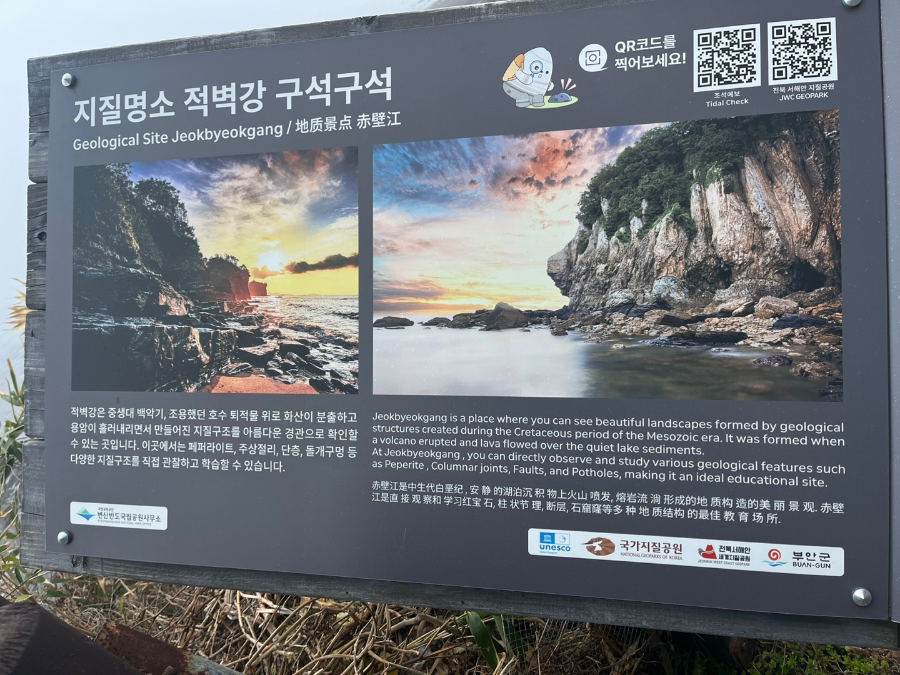 부안 수성당 유채꽃과 적벽강