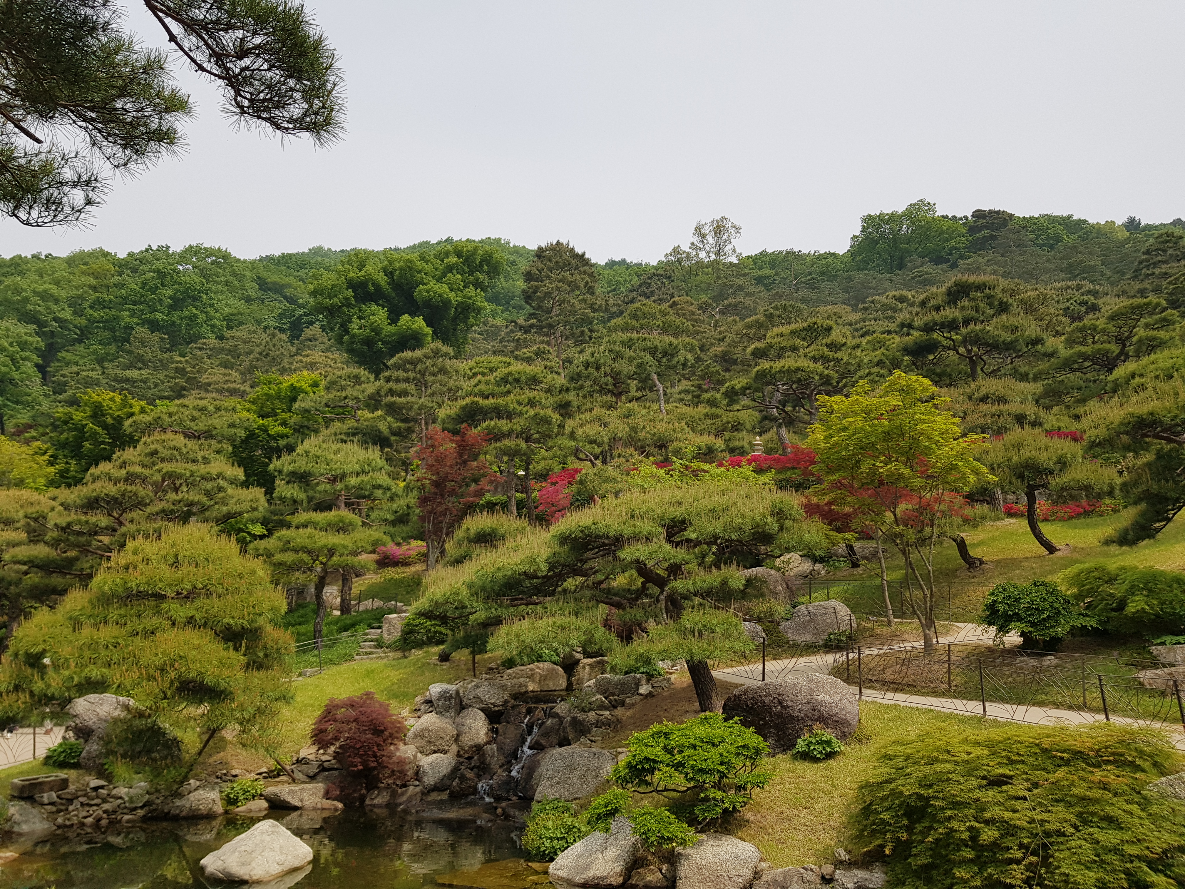화담숲 사진('19.5)