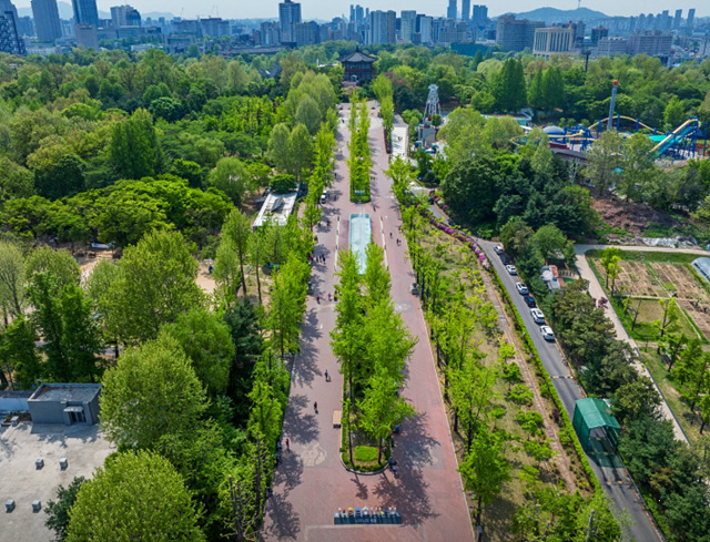 봄꽃구경 가볼만한 곳
