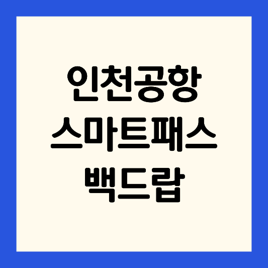 인천공항-스마트패스-백드랍