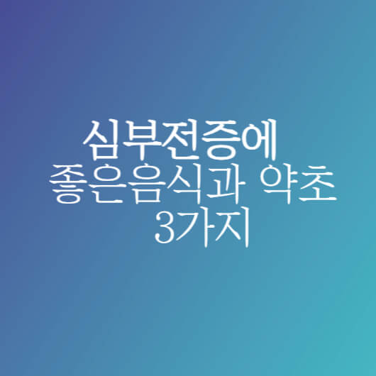 심부전증에-좋은음식약초-3가지