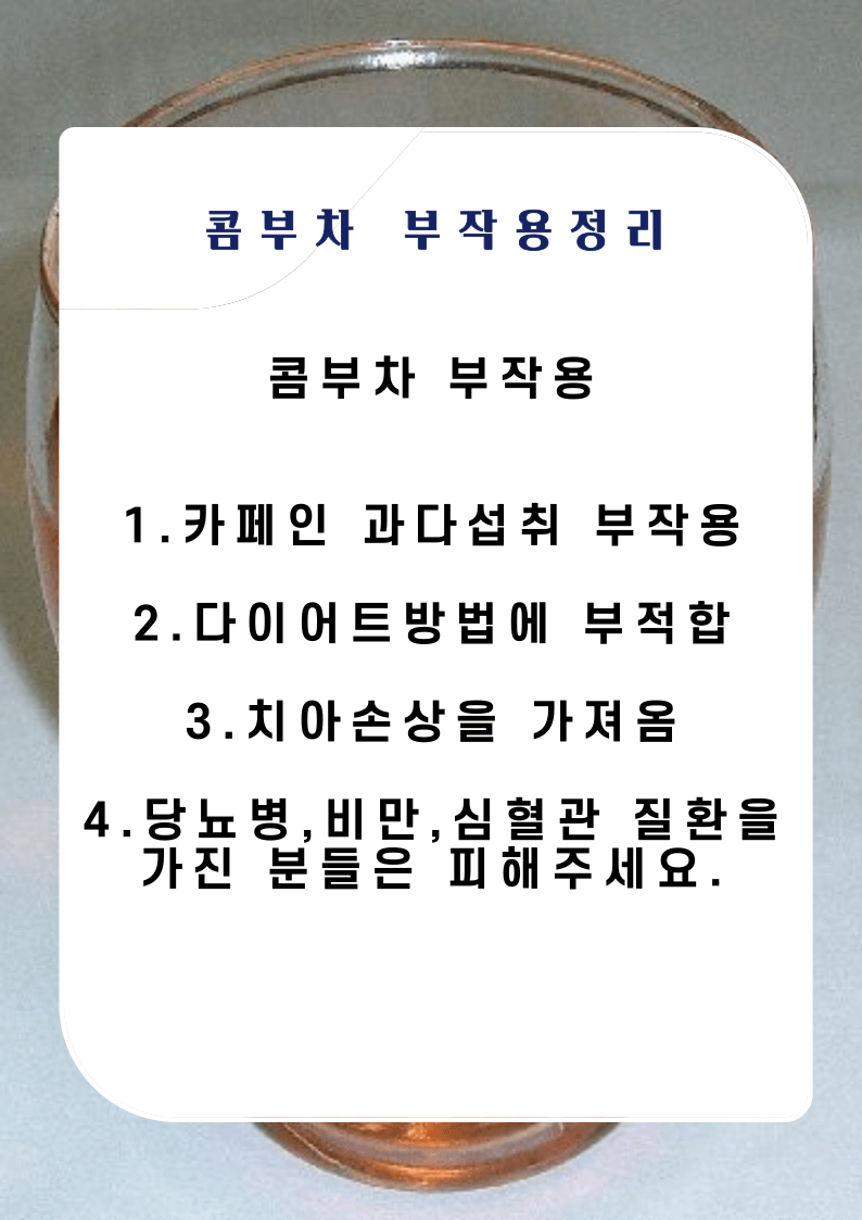 콤부차-부작용정리