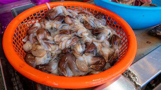 겨울철 여행지 유명한 명소 추천 5개소