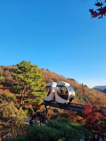 화담숲 입장료 할인 받는 법부터 예매 꿀팁까지는 총정리_19
