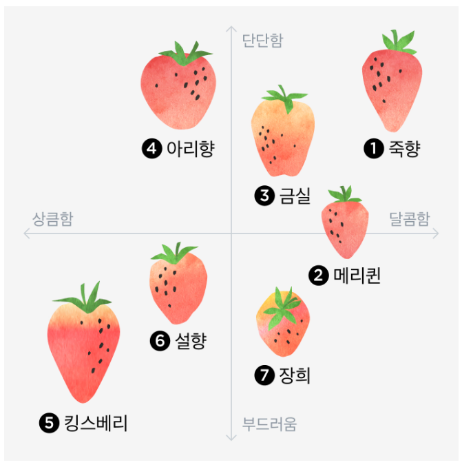 딸기 잘 고르는 법