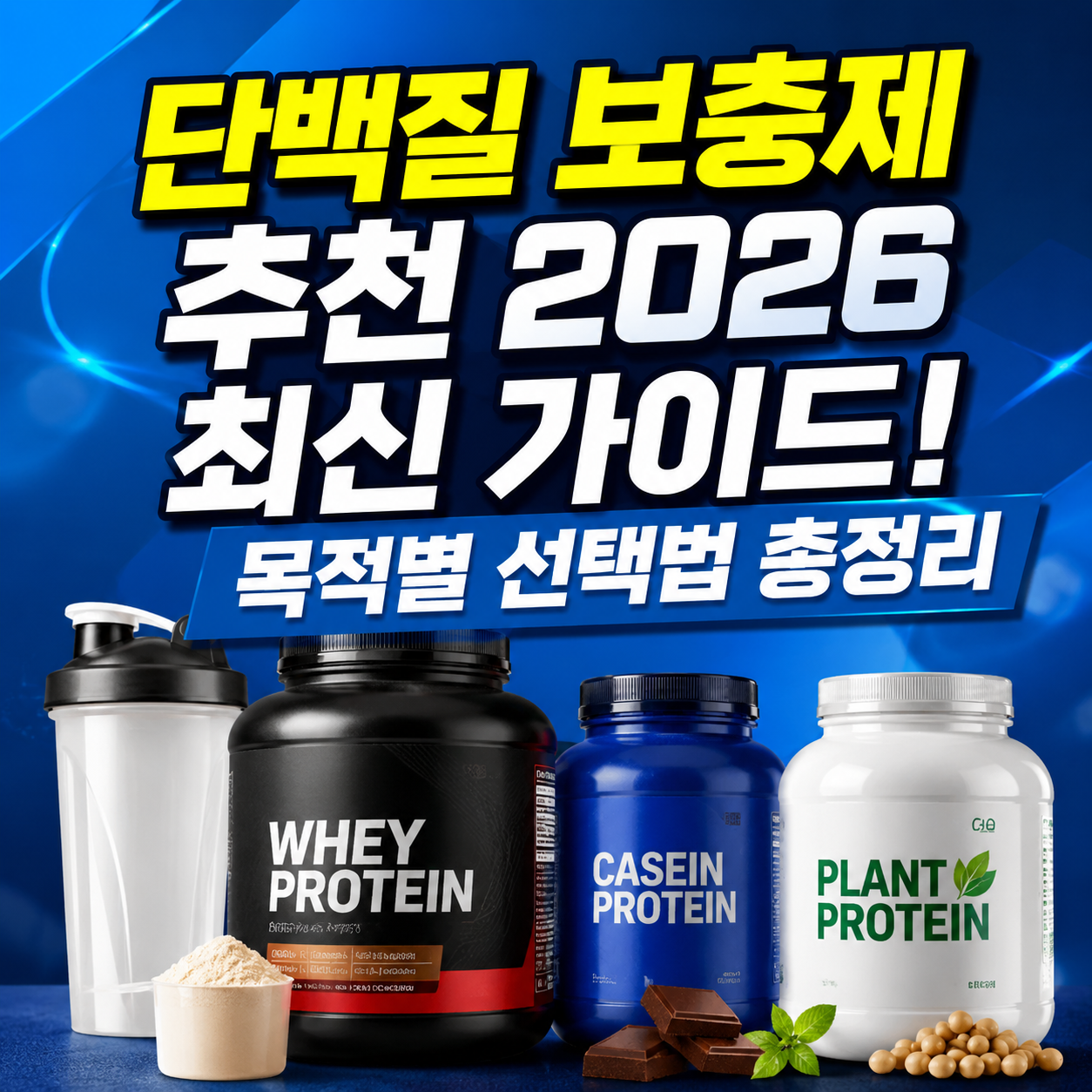 단백질 보충제 추천