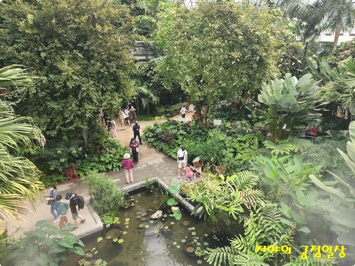 위에서 바라본 온실 안