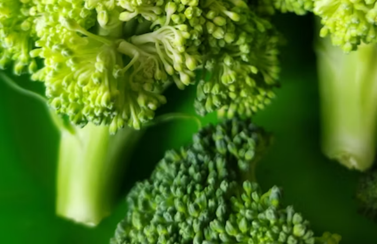 지방간에 좋은 음식