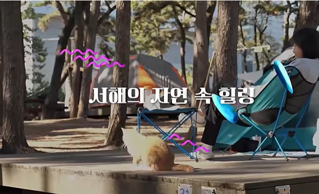 서해선셋캠핑페스티벌