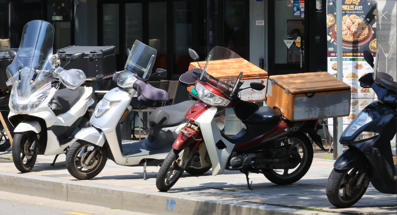 시범사업 종료 후 제도화 일정