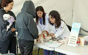 2024 제 39회 의견문화제와 함께하는 임실 N펫스타 기본일정과 특징 소개 이찬원 장민호 양지원 황윤성 오로라 송대관 출연