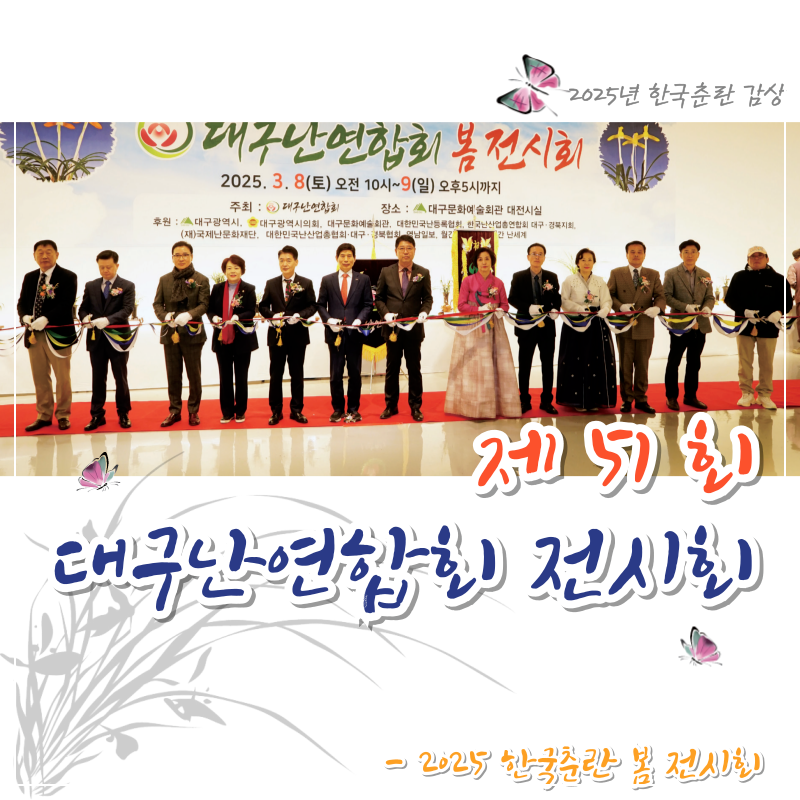 2025 한국춘란 봄 전시회 중..