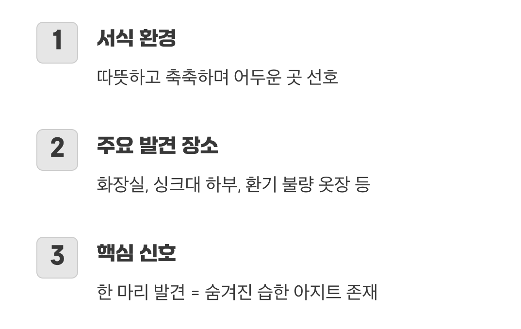 어둠과 습기를 사랑하는 은빛 유령