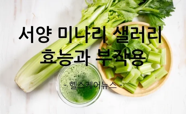 샐러리 효능 알고 먹는법 잎 생으로 손질법 요리_6