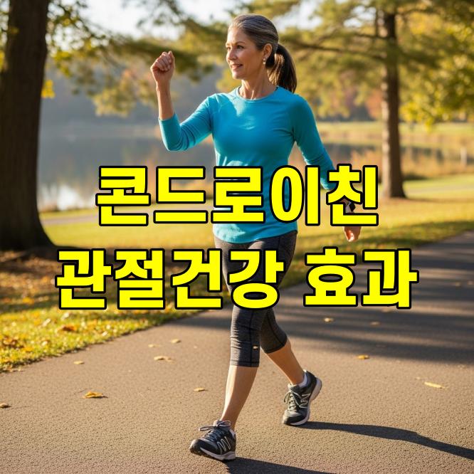 콘드로이친 효능, 관절 건강에 꼭 필요한 이유 총정리