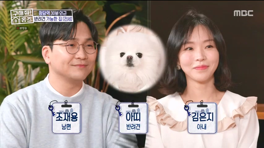 구해줘홈즈 고덕한 산책가 동물병원 인접 강동구 고덕 전세 매매 매물 가격 및 구조 인테리어 리모델링 최종선택 강재준 양세찬 소개