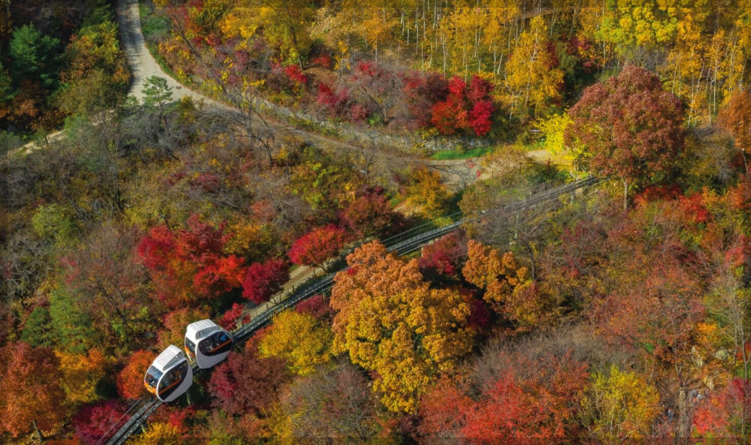 화담숲 야경 촬영 모노레일 입장료 할인 예약 단풍 시기 데이트 코스 시간