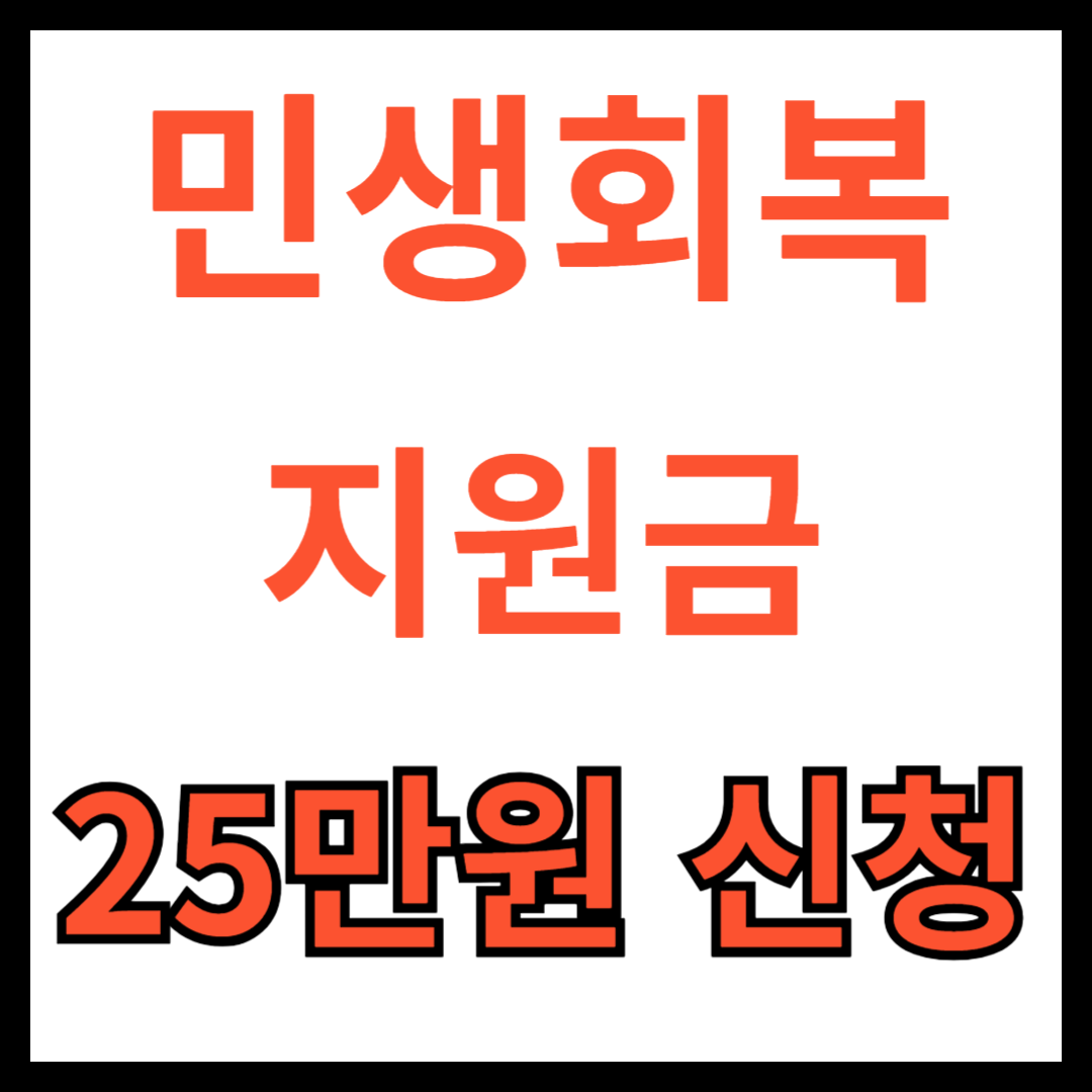 민생획복지원금