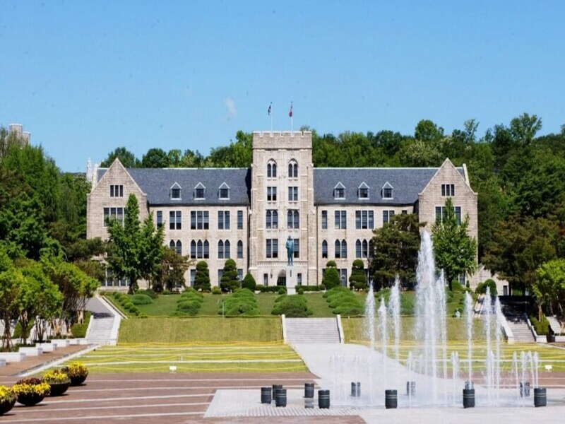 고려대학교