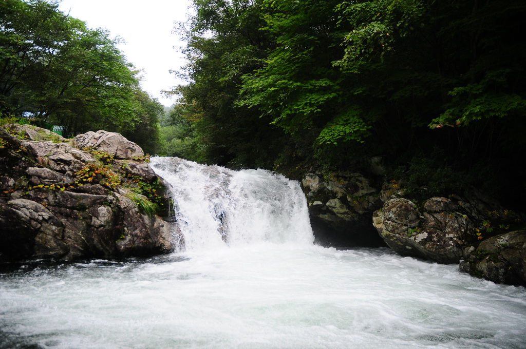 재벌집 막내아들&amp;#44; 환생과 복수의 화려한 서막
