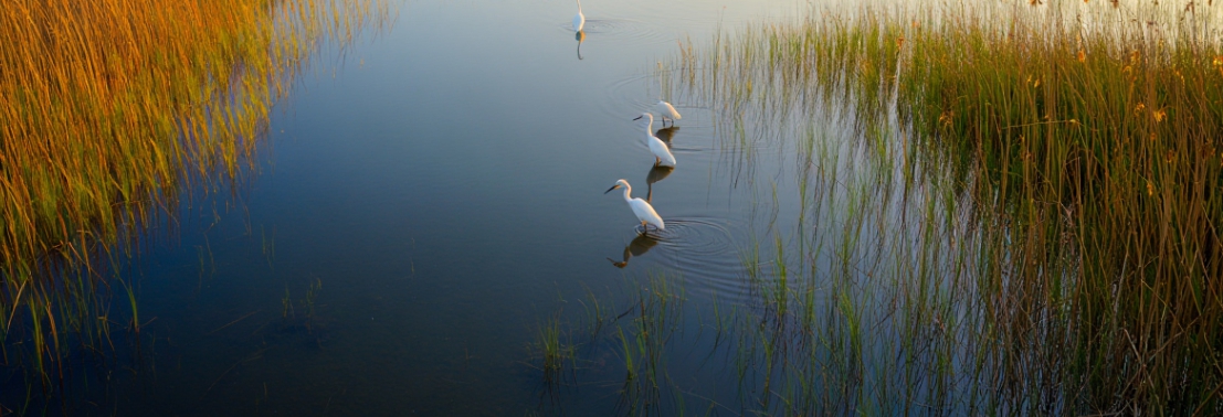 우포늪 생태 체험관