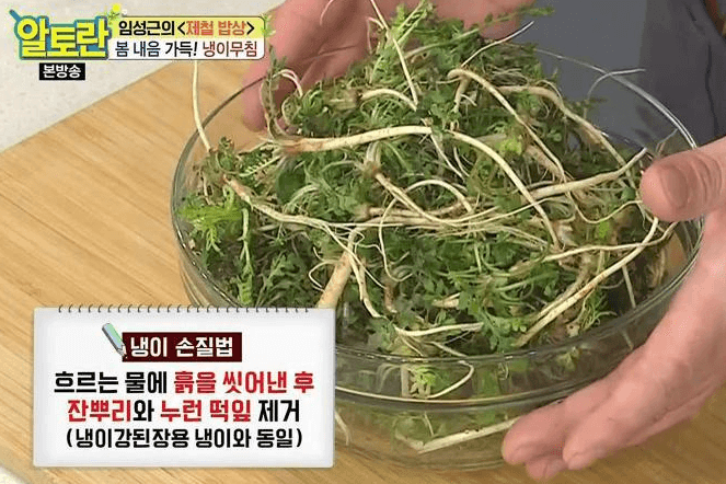 냉이손질법