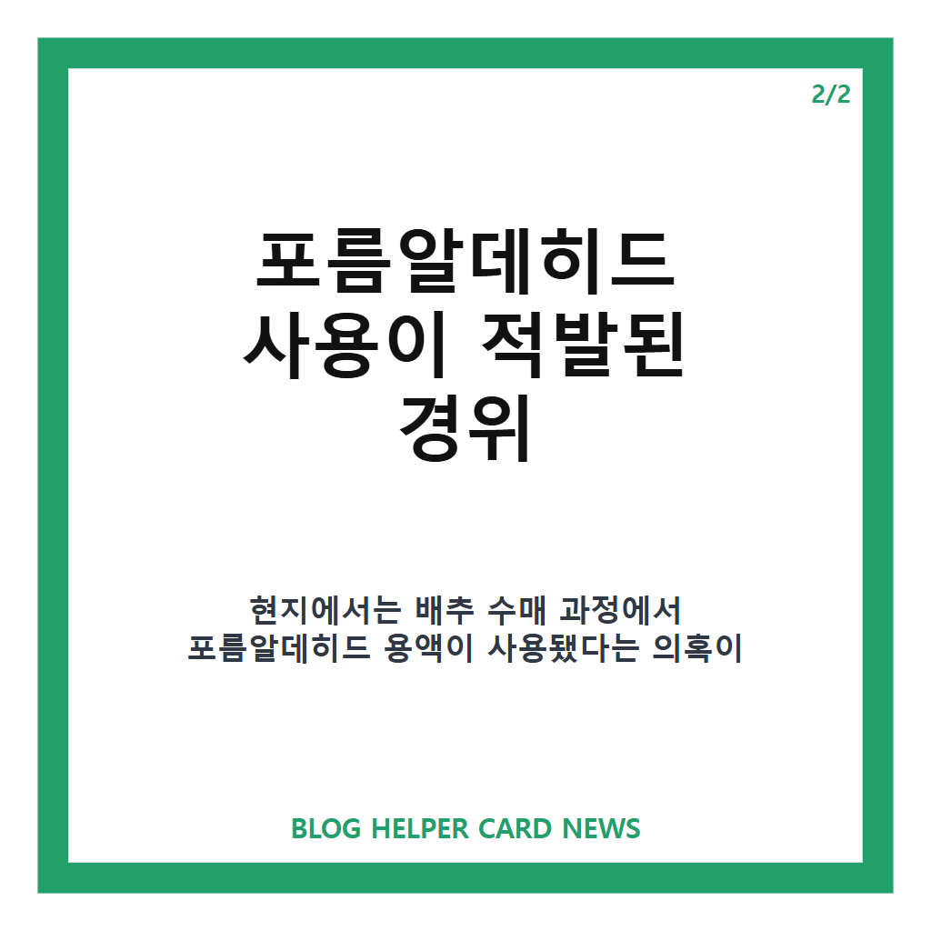 중국 배추 불법 유통, 포름알데히드 사용 적발과 해외 수출 여부 정리 카드뉴스 3