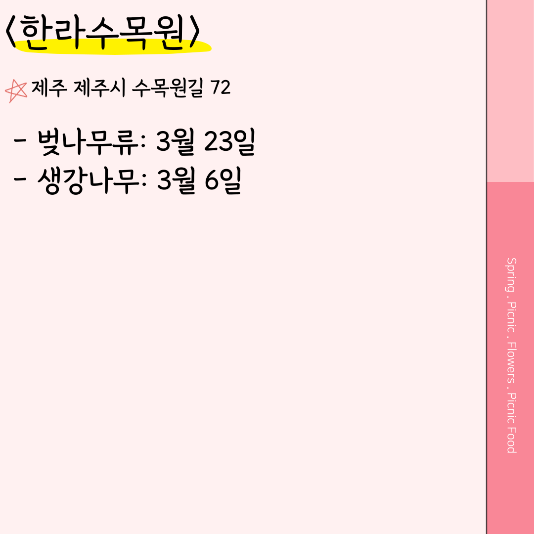 한라수목원 벚꽃 개화시기