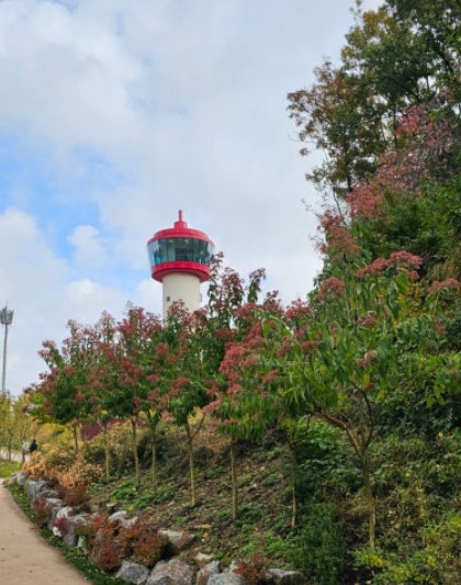 용인/새로운/인기/핫플/용/자작나/숲