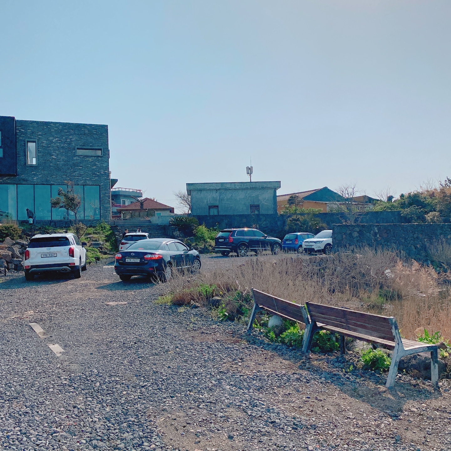 제주 닭머르해안길 초당옥수수 아이스크림 신촌 카페 점점