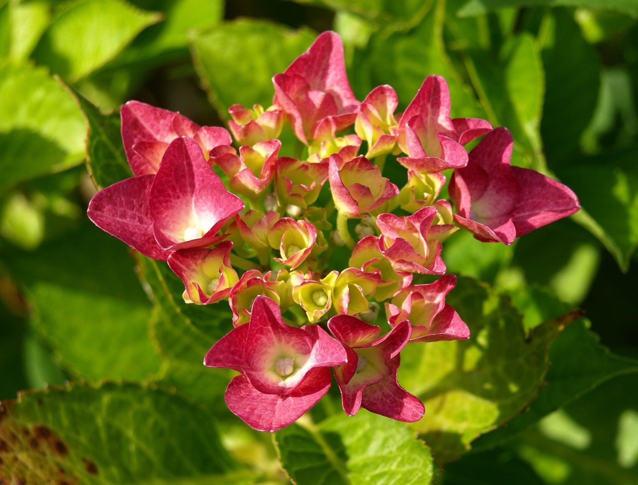 🌿 혼자 떠나는 화담숲 힐링 산책｜조용한 루트 추천