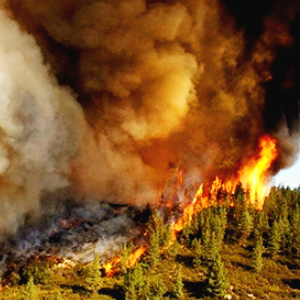 국내 산불 관련주 대장주 수혜주 TOP5