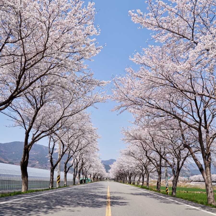 섬진강 스카이바이크