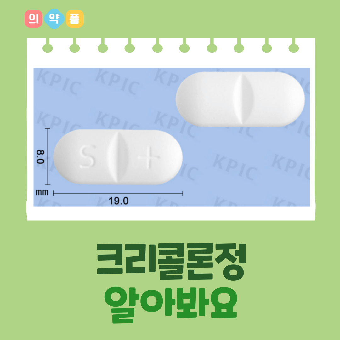 크리콜론정