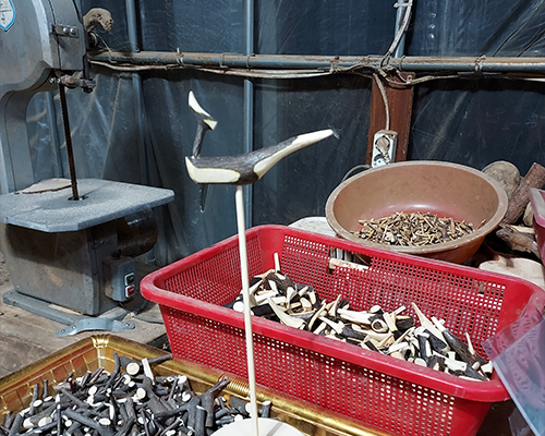 2023 K-Arts DMZ Festa 행사 이찬원 비투비 코요태 출연