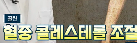 자이언트 파바빈 효능