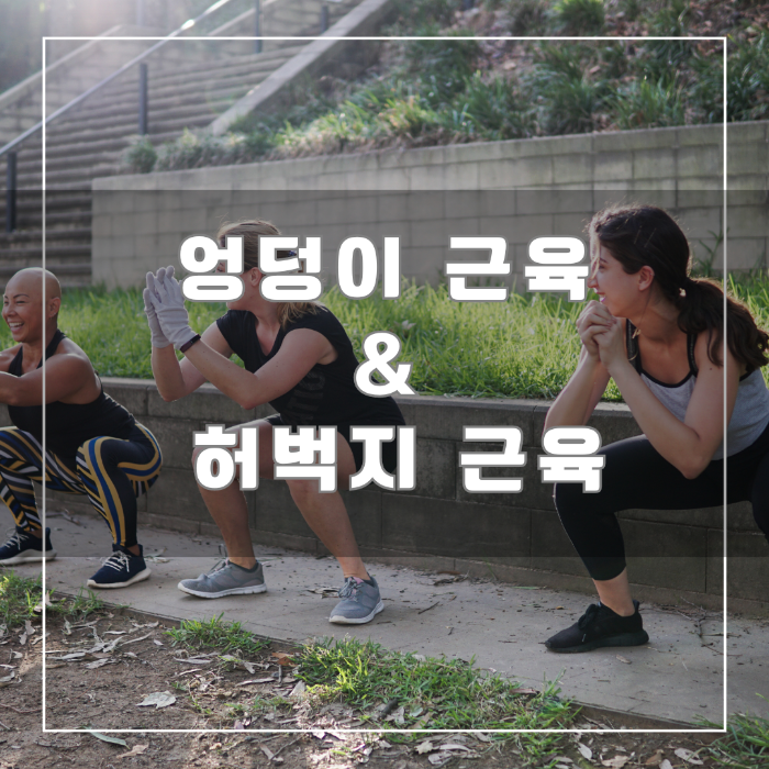 엉덩이 근육과 허벅지 근육