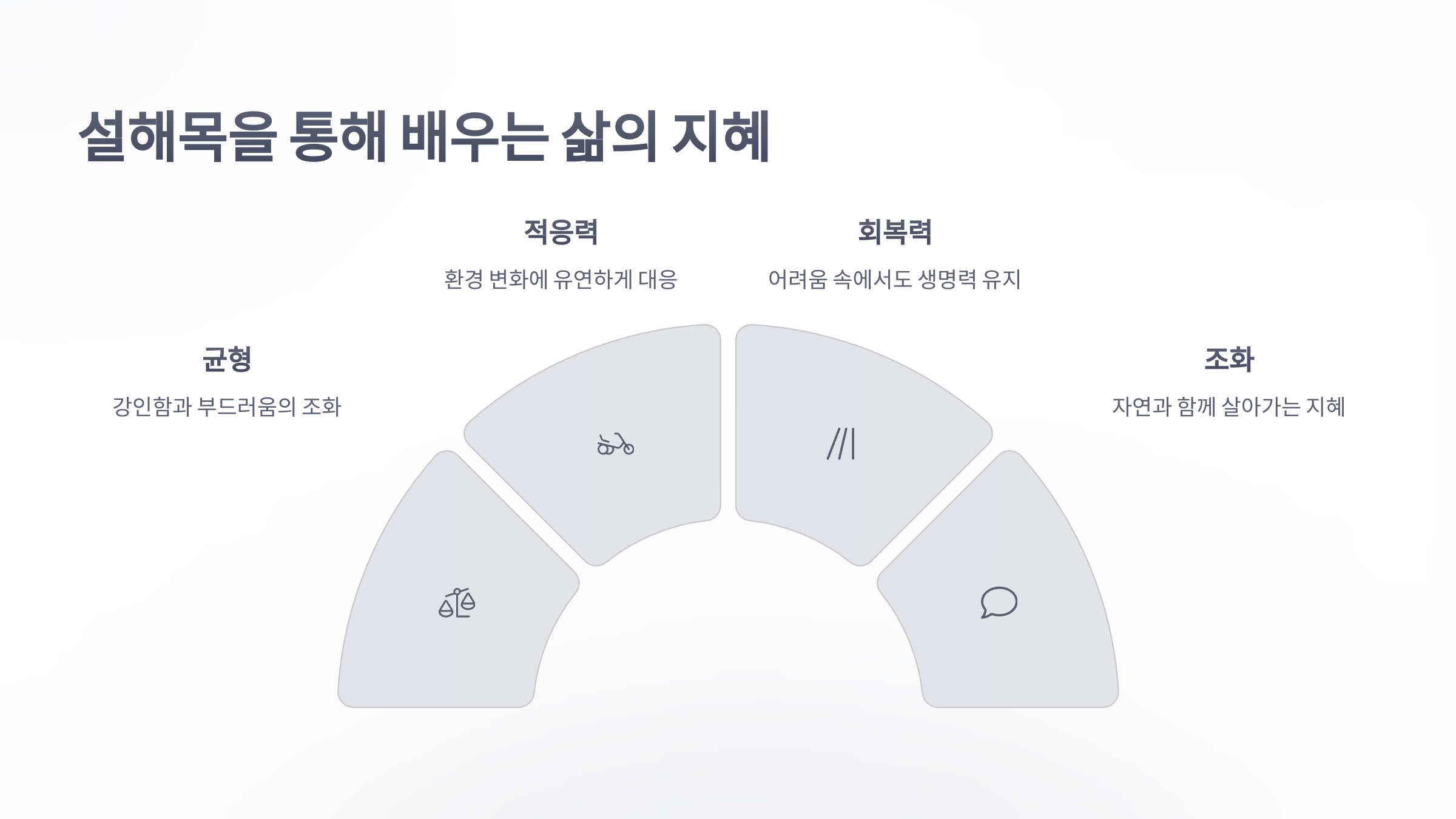 참조-설해목-소나무-둥지-5