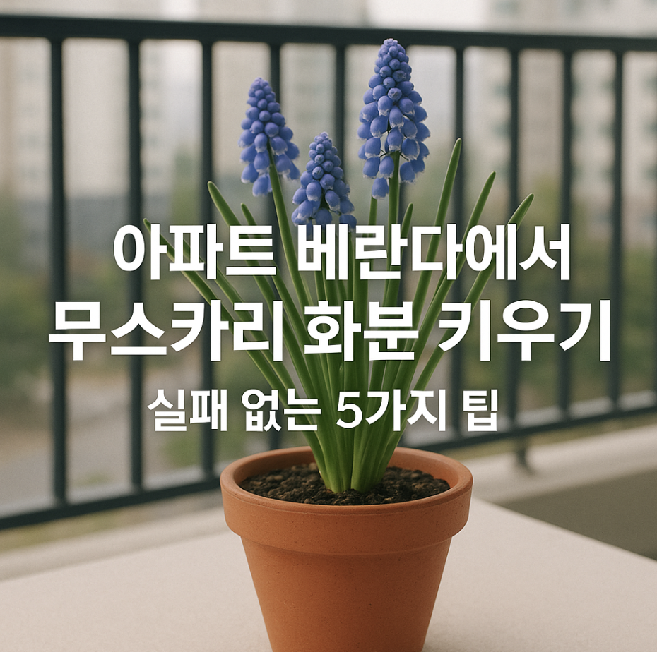아파트 베란다에서 무스카리 화분 키우기, 실패 없는 5가지 팁