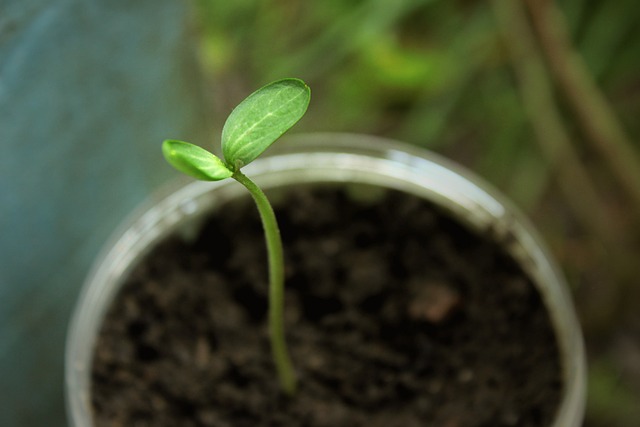규제와 제약사항 확인