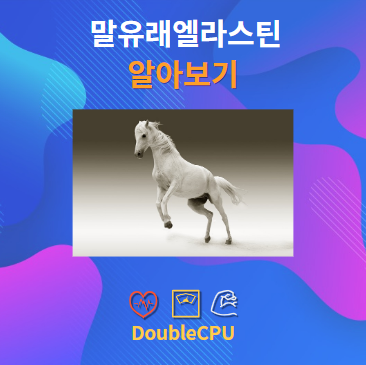 말유래엘라스틴 알아보기