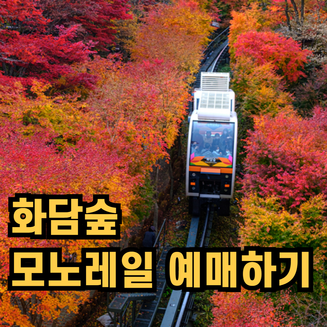 2025 화담숲 모노레일 예매 방법