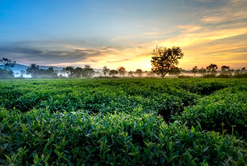 수면에 미치는 영향 및 부작용
