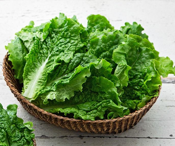 6시내고향 강원 강릉 상추 파는 곳 전국 택배 온라인 전화 주문 추천