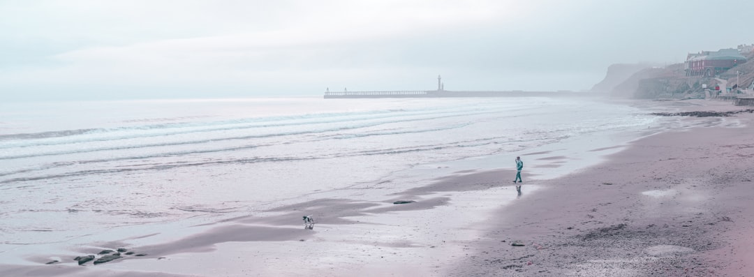 ‘Staycation’