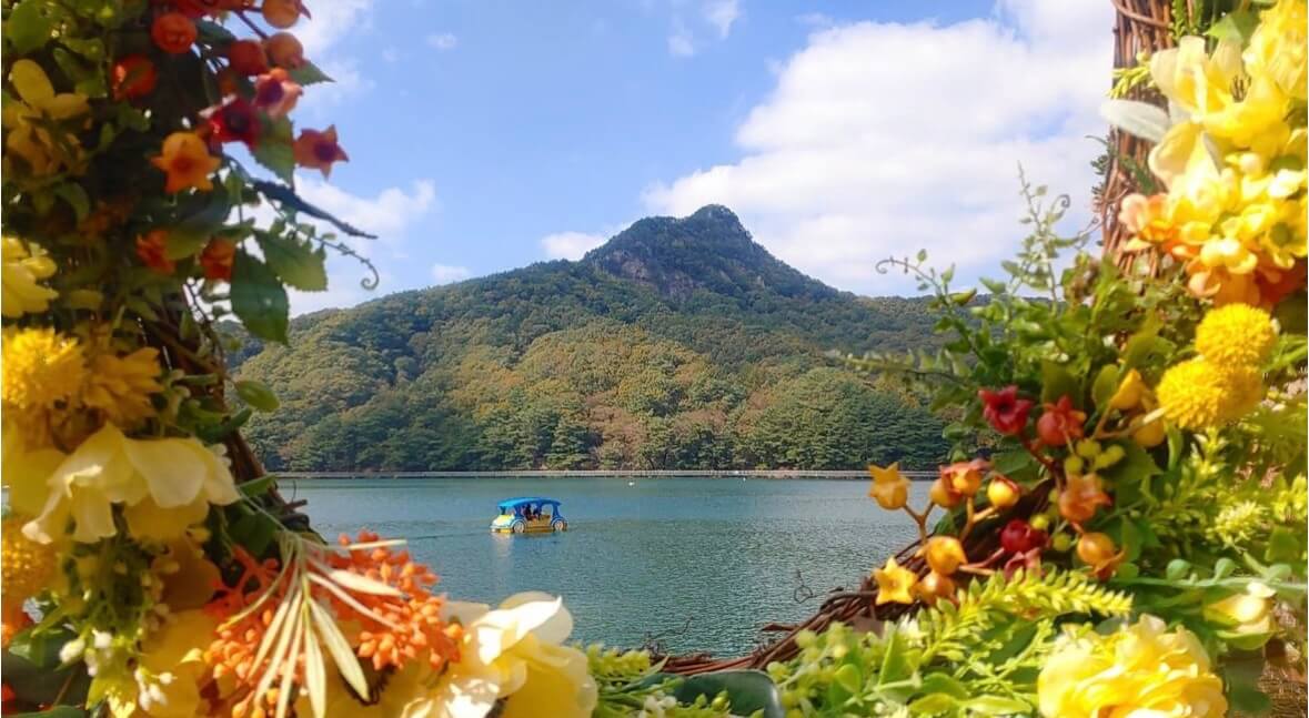 명성산 억새꽃축제